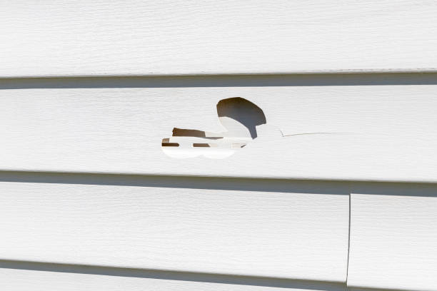 Affordable siding repair and maintenance services in Omak, WA
